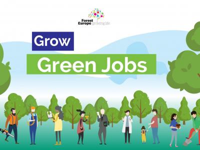 GREEN JOBS: QUALI SONO I LAVORI PIU' RICHIESTI E PERCHE' LE AZIENDE NE HANNO BISOGNO