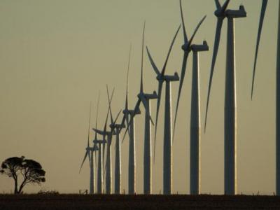 ENERGIE RINNOVABILI: E' TUTTO ORO QUEL CHE LUCCICA?
